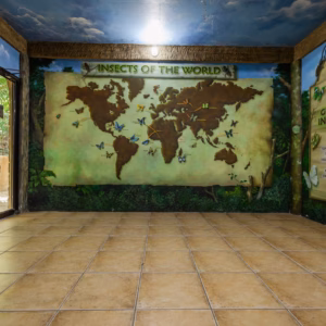 Secure Locker Rental