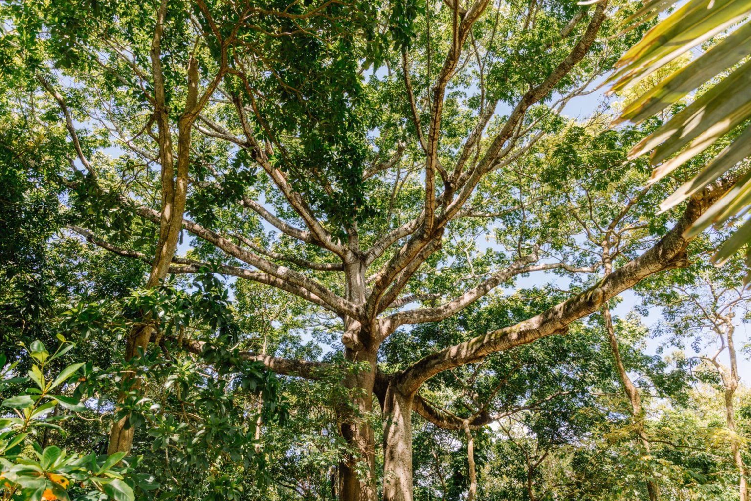 Zipline Adventure - Image 3