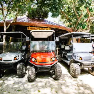 Golf Car Rental