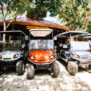 Golf Car Rental
